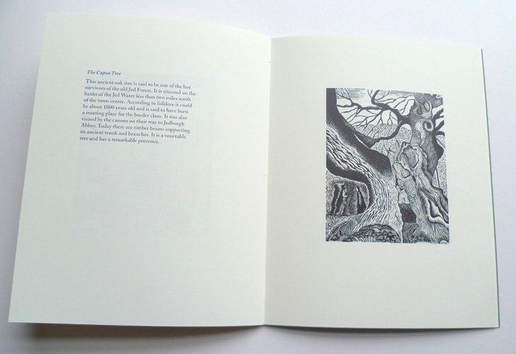 Old Jedburgh - The Capon Tree - Angela Lemaire